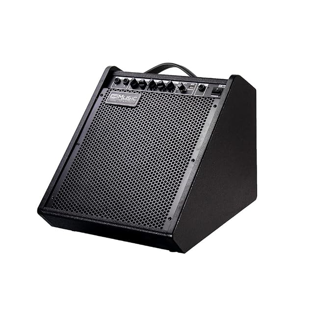 Coolmusic SB-122,100-watt electronic drum amplifier